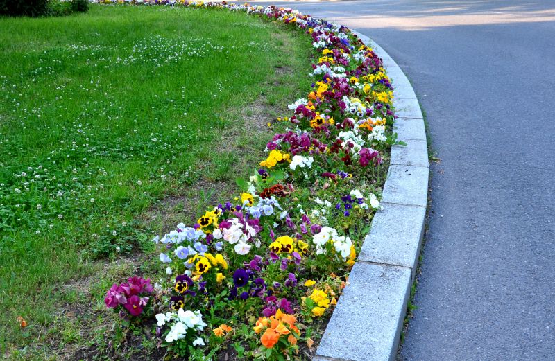 Stone Pathway Edging
